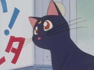 SailorMoon-s1-001(212).jpg