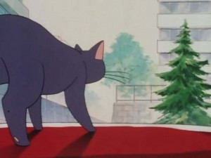 SailorMoon-s1-001(47).jpg