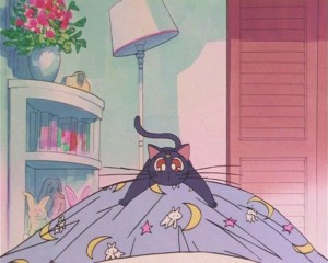 SailorMoon-s1-002(85).JPG