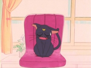 SailorMoon-s1-011(16).jpg