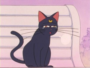 SailorMoon-s1-012(94).jpg