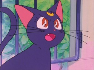 SailorMoon-s1-016(163).jpg