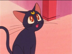 SailorMoon-s1-023(204).jpg