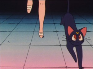 SailorMoon-s1-023(269).jpg