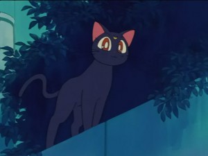 SailorMoon-s1-028(305).JPG