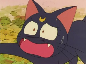 SailorMoon-s1-030(229).JPG