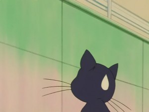 SailorMoon-s1-031(25).JPG