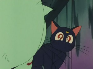 SailorMoon-s1-031(355).JPG