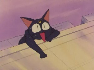 SailorMoon-s1-031(466).JPG