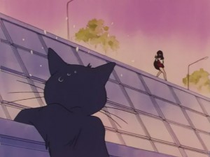 SailorMoon-s1-031(478).JPG
