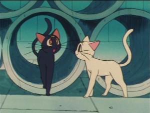 SailorMoon-s1-033(517).JPG