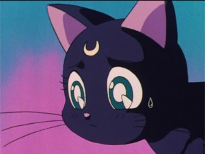 SailorMoon-s1-036(20).jpg