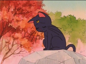 SailorMoon-s1-036(62).jpg