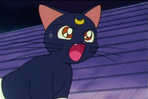 SailorMoon-s1-046(301).jpg