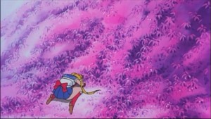 Sailormoon-R (1225).jpg