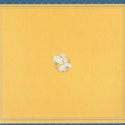 boxbackcover5b.jpg