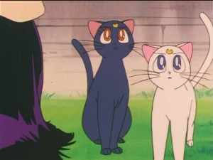 screenshot-anime-sailor-moon-s-episode-090-490.JPG