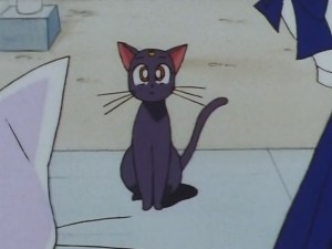 screenshot-anime-sailor-moon-sailor-stars-episode-178-095.JPG