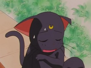 screenshot-anime-sailor-moon-sailor-stars-episode-178-115.JPG