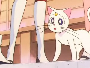 screenshot-anime-sailor-moon-sailor-stars-episode-190-131.jpg