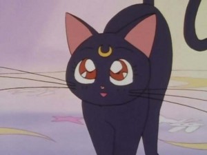 SailorMoon-s1-001(306).jpg