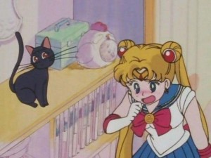 SailorMoon-s1-001(337).jpg