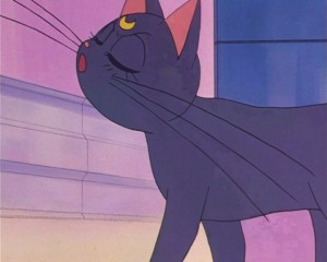 SailorMoon-s1-002(443).JPG