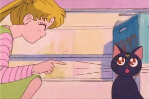 SailorMoon-s1-007(225).jpg