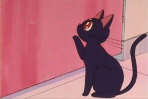 SailorMoon-s1-007(369).jpg