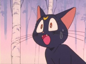 SailorMoon-s1-011(376).jpg