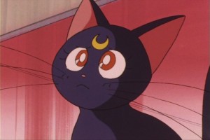 SailorMoon-s1-013(255).JPG