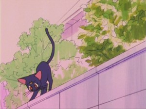 SailorMoon-s1-016(216).jpg