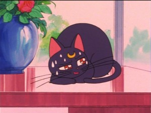 SailorMoon-s1-021(12).jpg