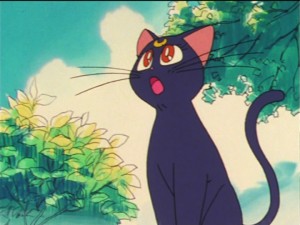 SailorMoon-s1-023(60).jpg