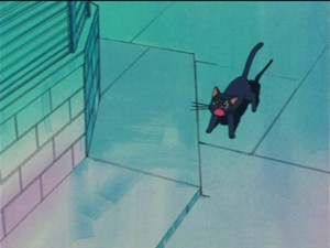 SailorMoon-s1-024(175).jpg