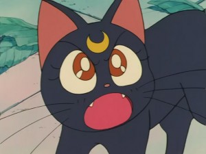 SailorMoon-s1-030(495).JPG