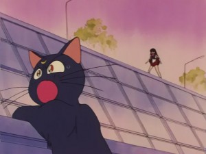 SailorMoon-s1-031(490).JPG