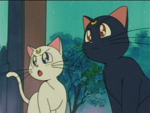 SailorMoon-s1-043(262).JPG