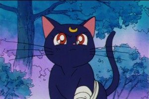 SailorMoon-s1-045(48).jpg