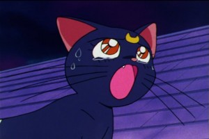 SailorMoon-s1-046(305).jpg