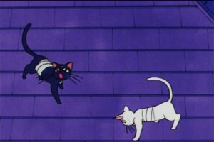 SailorMoon-s1-046(309).jpg