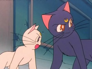 screenshot-anime-sailor-moon-s-episode-091-490.jpg
