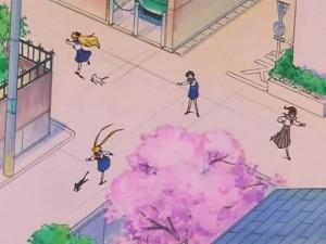 screenshot-anime-sailor-moon-s-episode-094-321.jpg