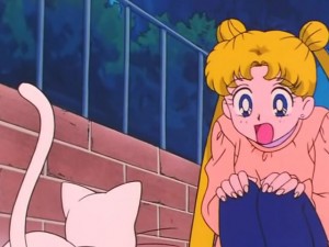 screenshot-anime-sailor-moon-s-episode-097-214.jpg