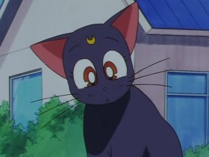 screenshot-anime-sailor-moon-sailor-stars-episode-178-107.JPG