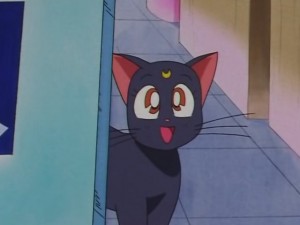 screenshot-anime-sailor-moon-sailor-stars-episode-178-148.JPG
