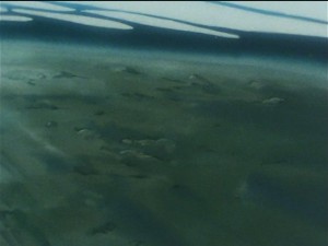 screenshot-anime-sailor-moon-sailor-stars-episode-183-164.JPG