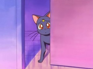 screenshot-anime-sailor-moon-sailor-stars-episode-190-156.jpg