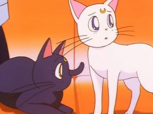 screenshot-anime-sailor-moon-sailor-stars-episode-192-059.jpg