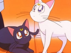 screenshot-anime-sailor-moon-sailor-stars-episode-192-060.jpg